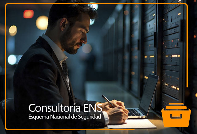 Consultoría ENS