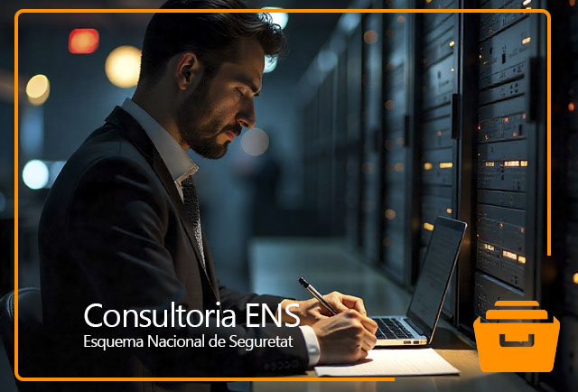 Consultoría ENS